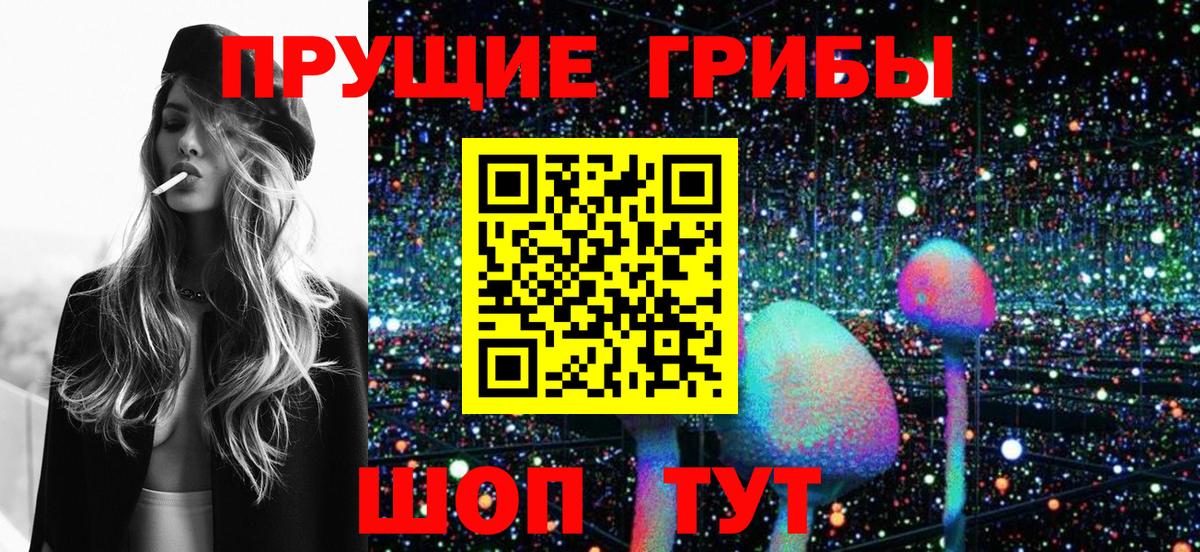 Псилоцибиновые грибы MAGIC MUSHROOMS  Вход с VPN  наркошоп  Псилоцибиновые грибы мухоморы  Заводоуковск 