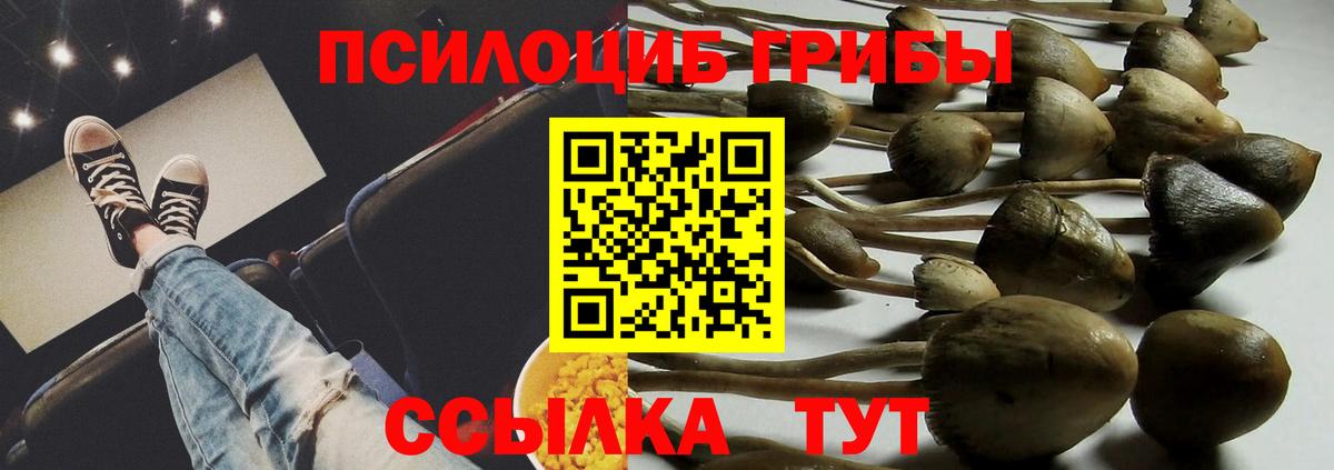 Псилоцибиновые грибы ЛСД Заводоуковск